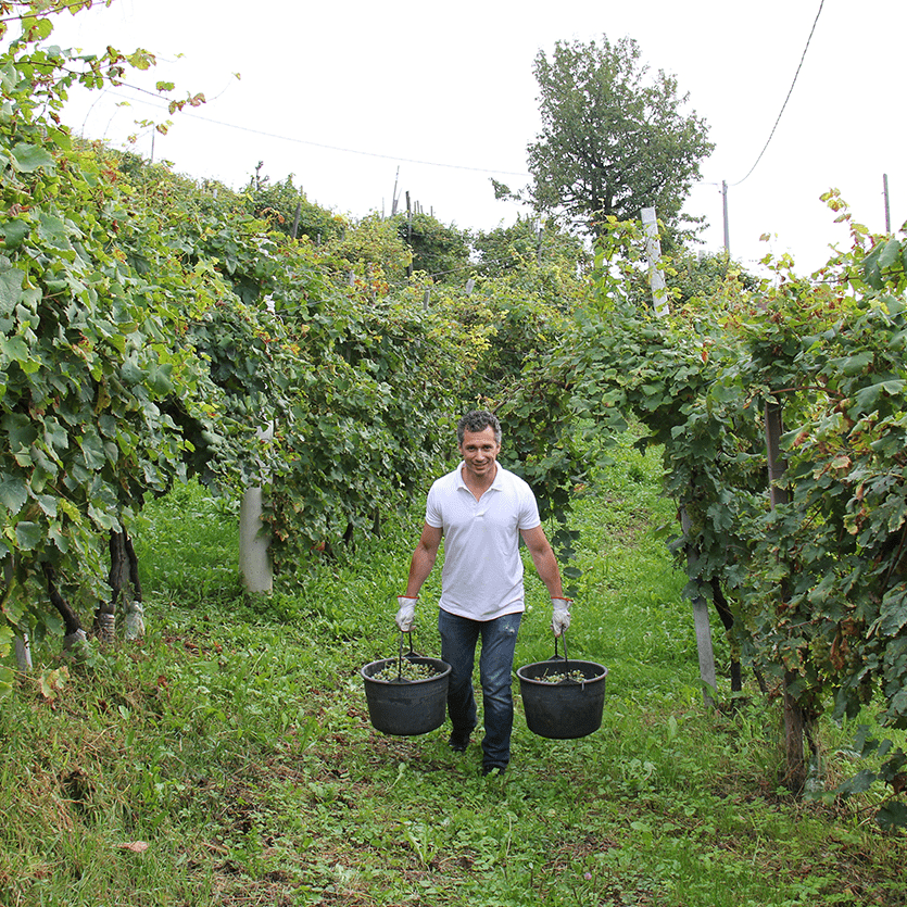 Altaneve Prosecco Rosé