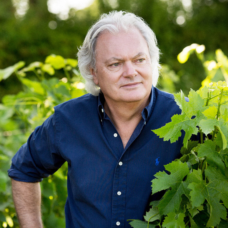 Château La Fleur de Boüard Chardonnay