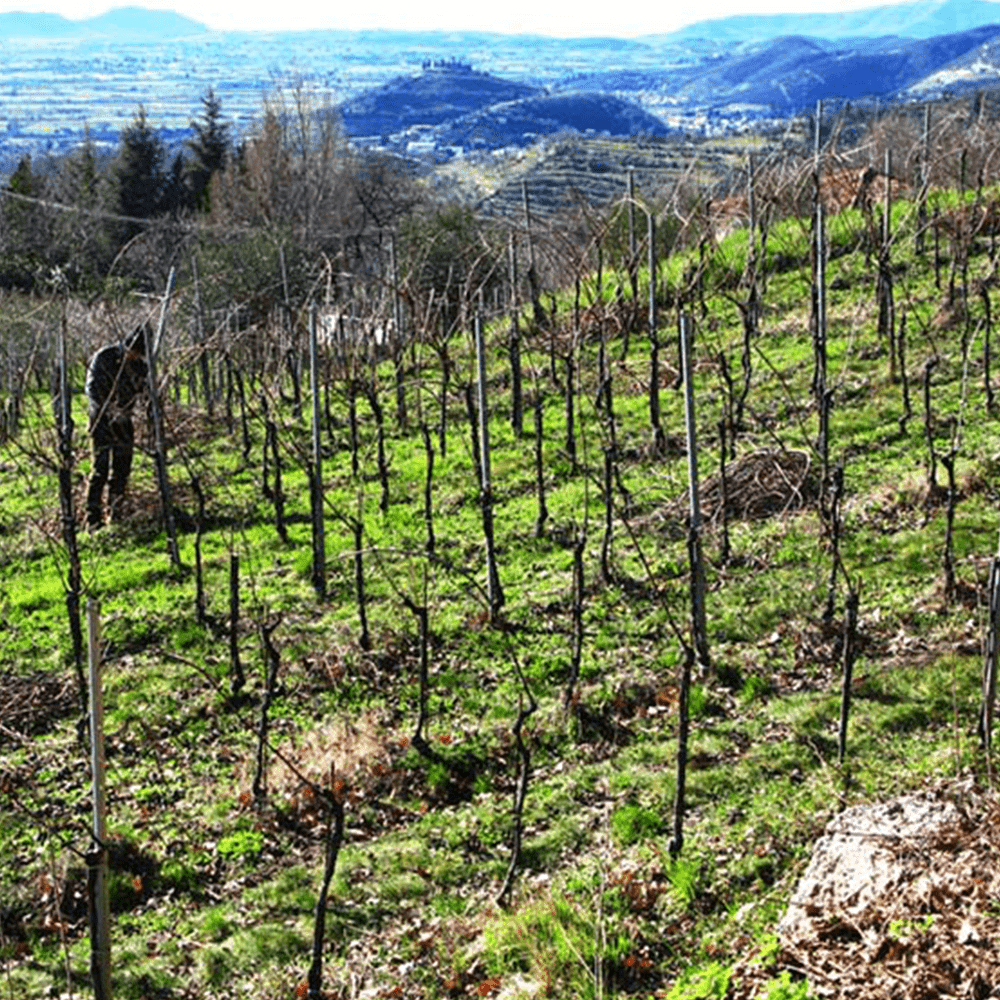 Cà del Vént 'Sogno' Blanc de Blancs Pas Operè