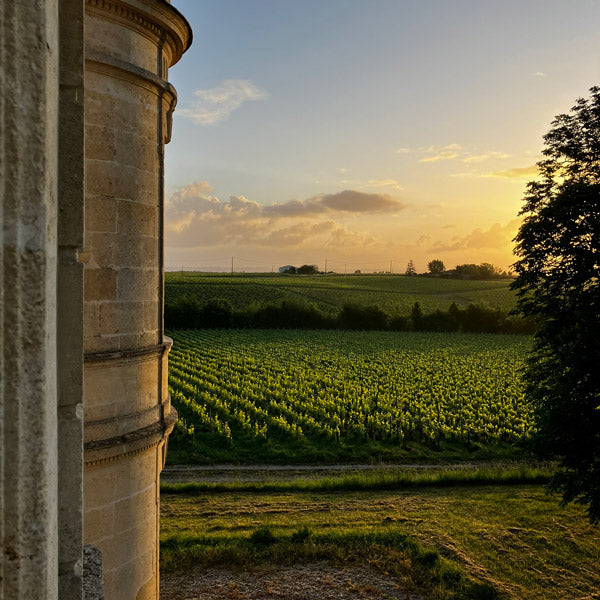 Sunset over Château Charmail's vineyards