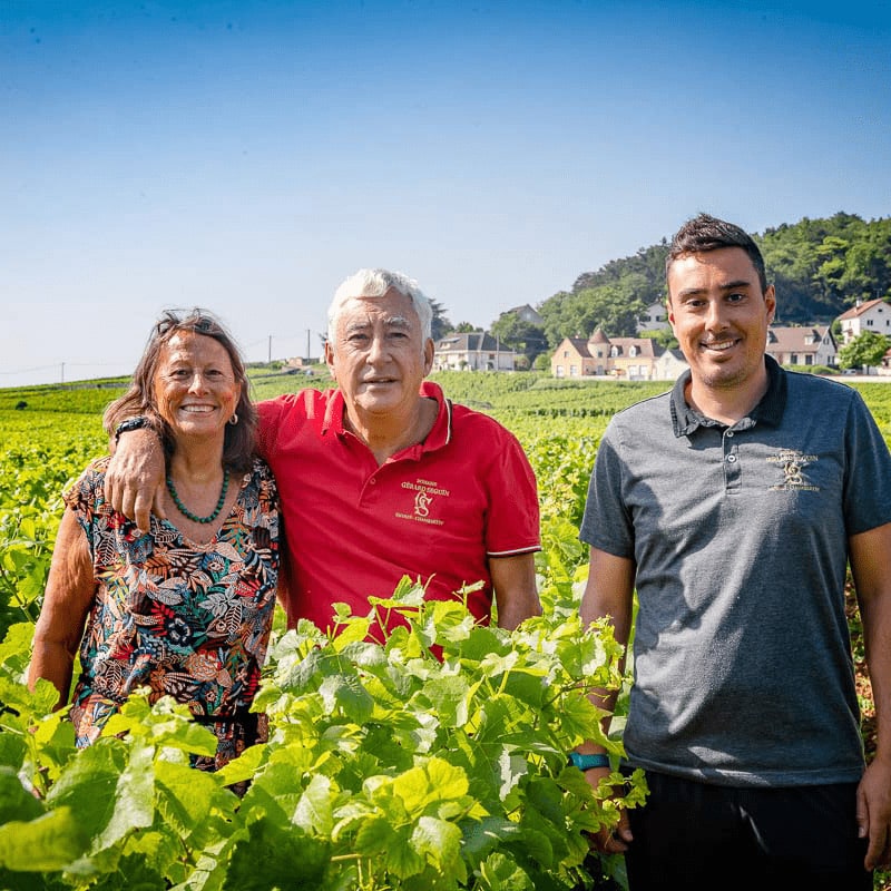 Domaine Gérard Seguin Gevrey Chambertin Vieilles Vignes