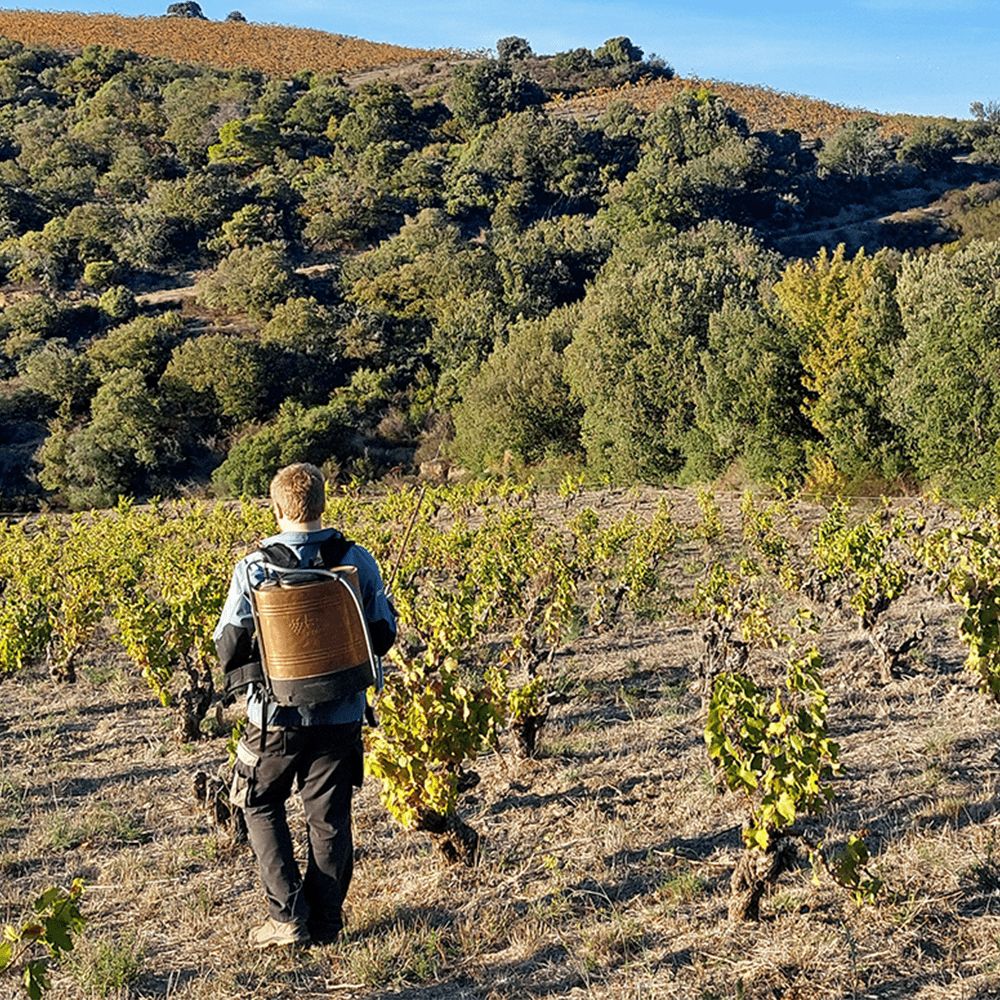 Domaine Montluzia 'Coup 2 Foudres'