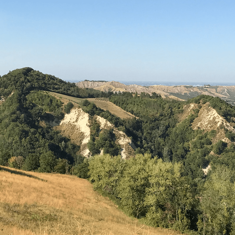 Mutiliana 'Acereta' Romagna Sangiovese